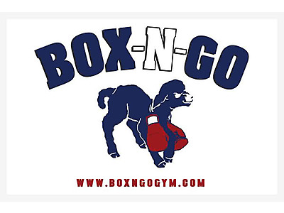 BOXNGO_LEADER_LOGO.jpg - Box-n-Go Boxing Gym image